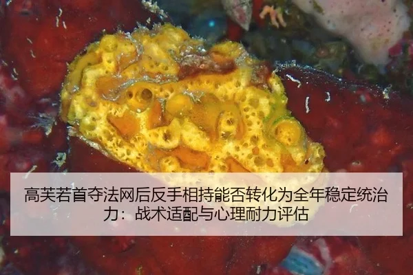 gao-fu-ruo-shou-duo-fa-wang-hou-fan-shou-xiang-chi-neng-fou-zhuan-hua-wei-quan-nian-wen-ding-tong-zhi-li-zhan-shu-shi-2-212.jpg