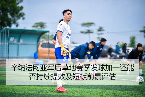 辛纳法网亚军后草地赛季发球加一还能否持续提效及短板前景评估